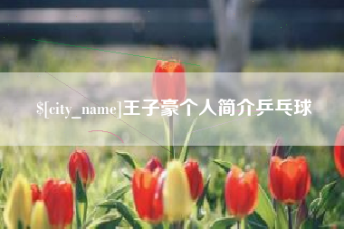 阳江王子豪个人简介乒乓球