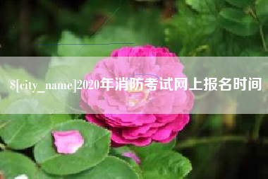 阳江2020年消防考试网上报名时间