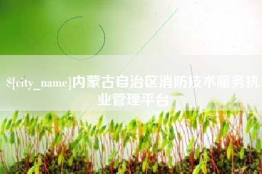 阳江内蒙古自治区消防技术服务执业管理平台