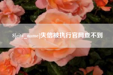 阳江失信被执行官网查不到