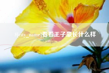 阳江看看王子豪长什么样