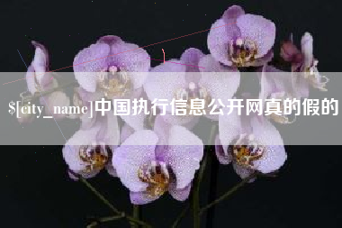 阳江中国执行信息公开网真的假的