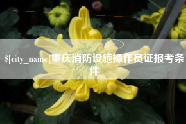阳江重庆消防设施操作员证报考条件