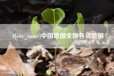 阳江中国地图全图各省地图