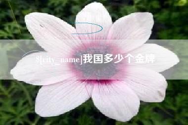 阳江我国多少个金牌