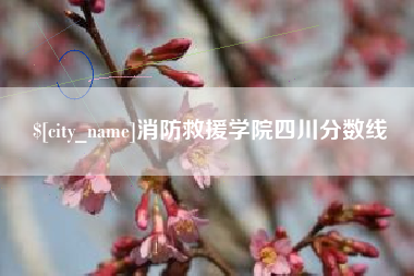 阳江消防救援学院四川分数线