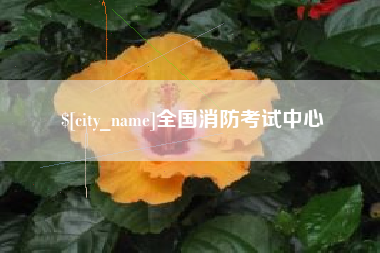 阳江全国消防考试中心