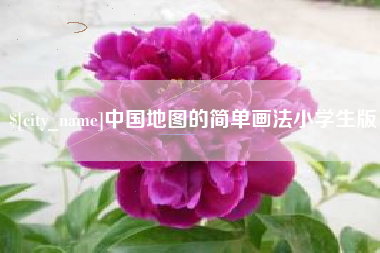 阳江中国地图的简单画法小学生版