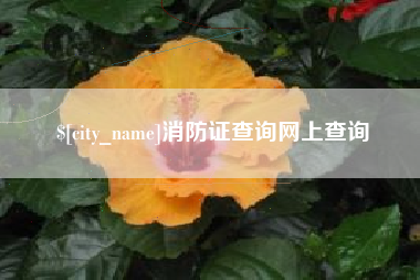 阳江消防证查询网上查询