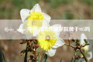 阳江中国消防救援学院属于985吗
