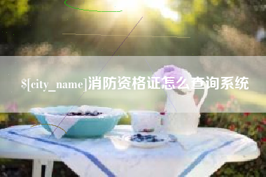 阳江消防资格证怎么查询系统