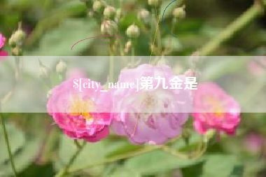 阳江第九金是