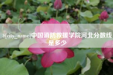 阳江中国消防救援学院河北分数线是多少