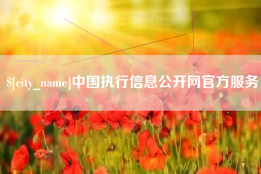 阳江中国执行信息公开网官方服务