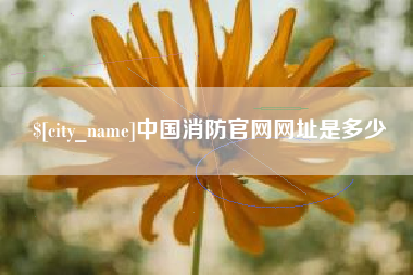 阳江中国消防官网网址是多少