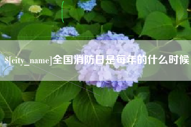 阳江全国消防日是每年的什么时候