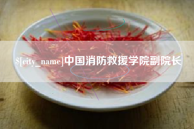 阳江中国消防救援学院副院长