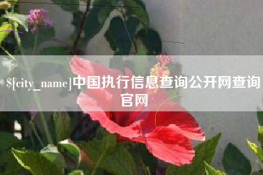 阳江中国执行信息查询公开网查询官网
