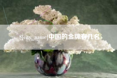 阳江中国的金牌有几名