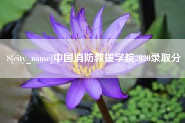 阳江中国消防救援学院2020录取分