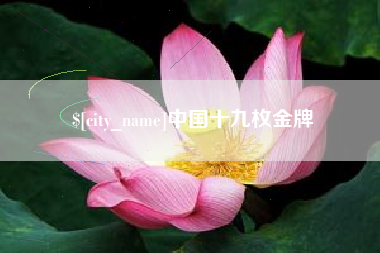 阳江中国十九枚金牌