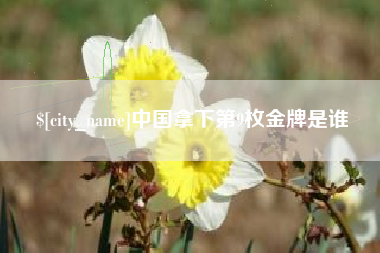阳江中国拿下第9枚金牌是谁
