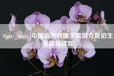 阳江中国消防救援学院简介及招生章程指挥部