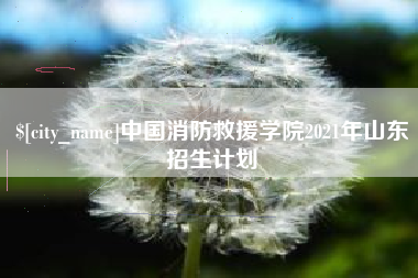 阳江中国消防救援学院2021年山东招生计划