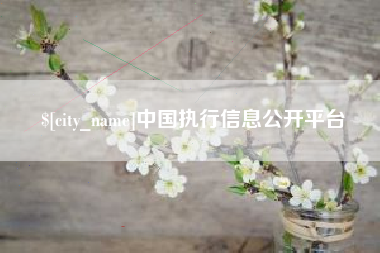 阳江中国执行信息公开平台