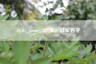 阳江2024奥运冠军名字