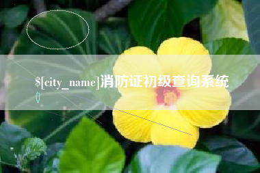 阳江消防证初级查询系统