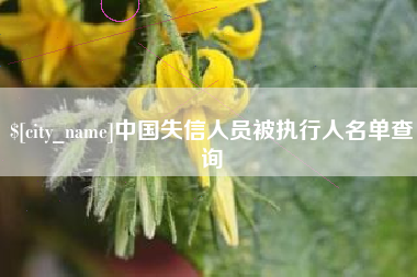 阳江中国失信人员被执行人名单查询
