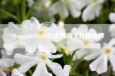 阳江中国金牌得了几枚金牌