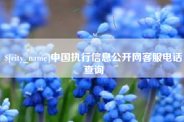 阳江中国执行信息公开网客服电话查询