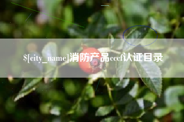 阳江消防产品cccf认证目录