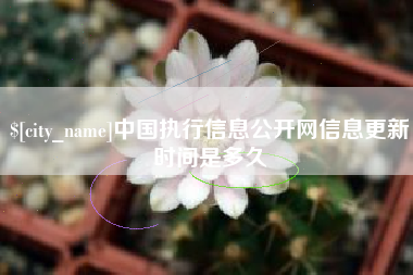阳江中国执行信息公开网信息更新时间是多久
