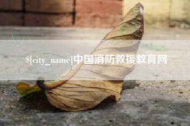 阳江中国消防救援教育网