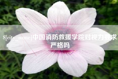 阳江中国消防救援学院对视力要求严格吗