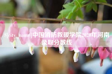 阳江中国消防救援学院2020年河南录取分数线