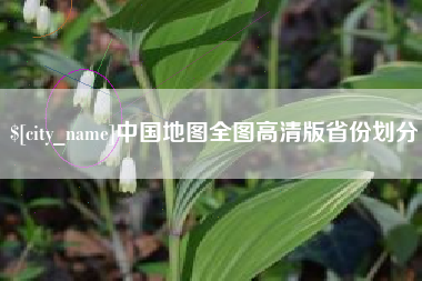 阳江中国地图全图高清版省份划分