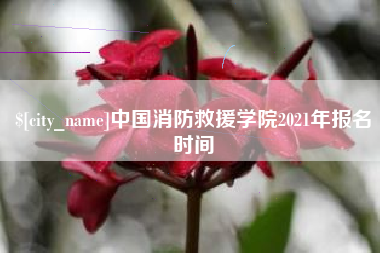 阳江中国消防救援学院2021年报名时间