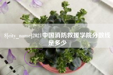 阳江2021中国消防救援学院分数线是多少