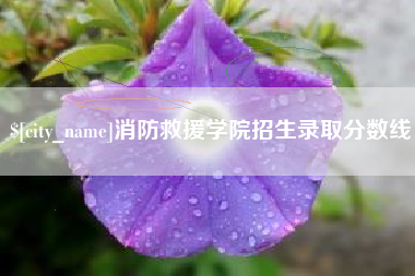 阳江消防救援学院招生录取分数线