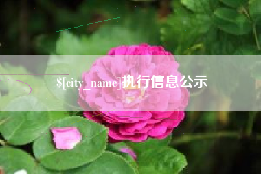 阳江执行信息公示