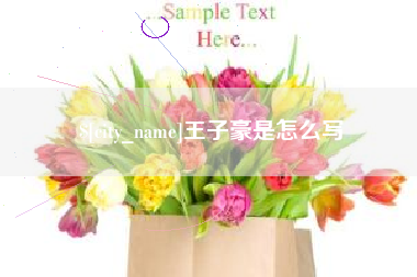 阳江王子豪是怎么写