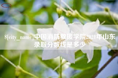 阳江中国消防救援学院2021年山东录取分数线是多少