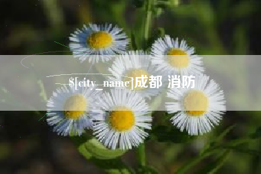 阳江成都 消防