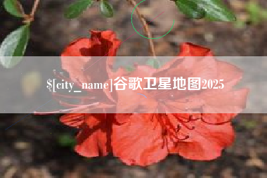 阳江谷歌卫星地图2025