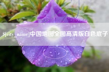 阳江中国地图全图高清版白色底子