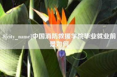 阳江中国消防救援学院毕业就业前景如何